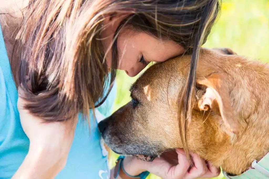 emotional closure for Pet Loss